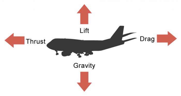 Forces in Everyday Life Worksheet - EdPlace